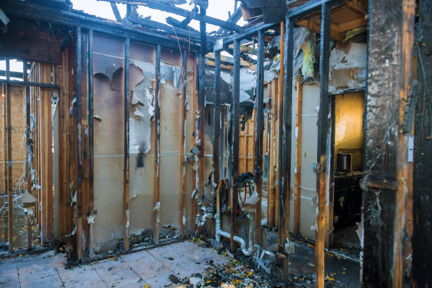 Professional Fire Damage Removal technician working in Liberty Hill, TX